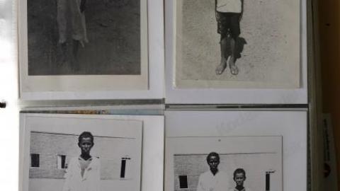 Hidden Butterflies '19 - DSC02063.jpg