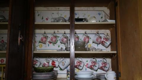 Hidden Butterflies '19 - DSC02089.jpg