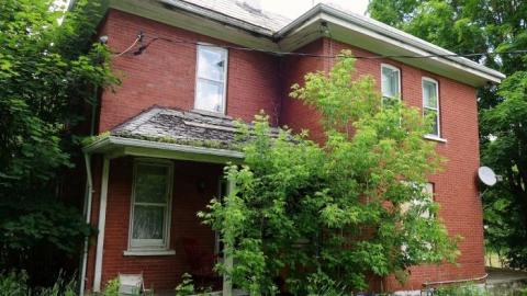 Hidden Butterflies '19 - DSC02092.jpg