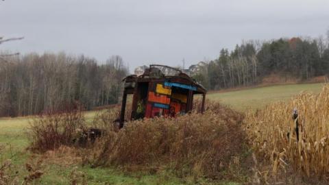 Tottenham Run Winter '19 - IMG_0083.jpg