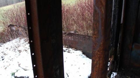 Tottenham Run Winter '19 - IMG_0092.jpg