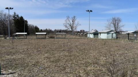 April 2020 - DSC_1914.jpg