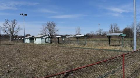 April 2020 - DSC_1915.jpg