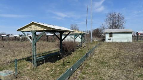 Photo from April 2020