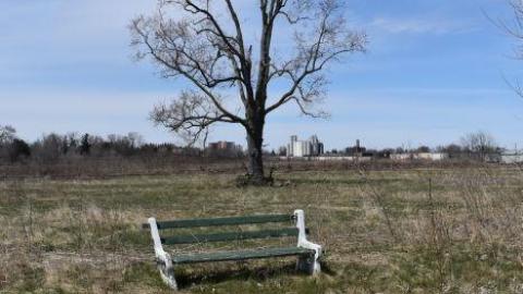 Photo from April 2020