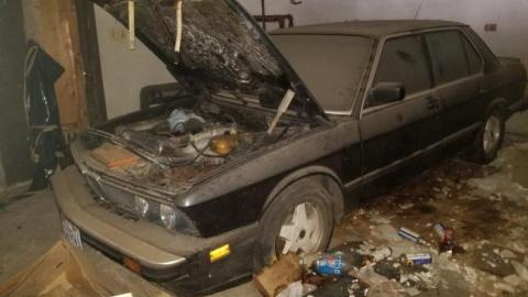 Watch where you step - 20200507_114701.jpg