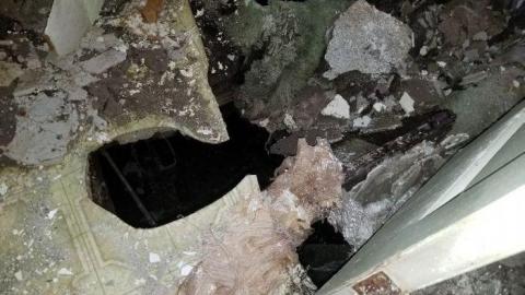 Watch where you step - 20200507_115107.jpg