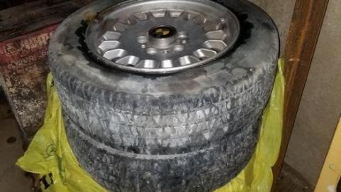 Watch where you step - 20200507_114923.jpg