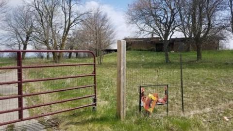 Watch where you step - 20200507_114241.jpg