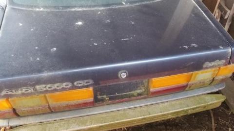 Watch where you step - 20200507_115857.jpg