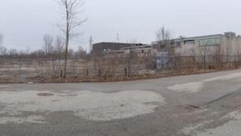 A crispy one - 20200407_181527.jpg