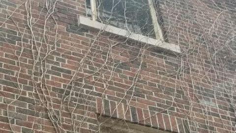 Tucked away - 20200509_124709.jpg