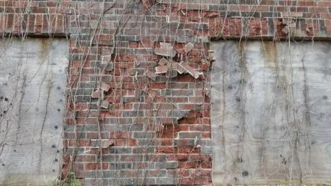 Tucked away - 20200509_124537.jpg