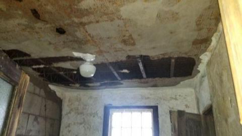 Tucked away - 20200509_123014.jpg