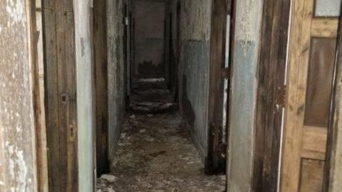 Tucked away - 20200509_122953.jpg