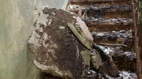 Tucked away - 20200509_123121.jpg