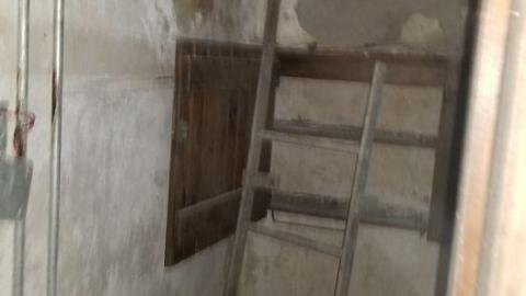 Tucked away - 20200509_123357.jpg