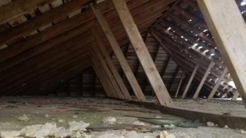 Tucked away - 20200509_123409.jpg