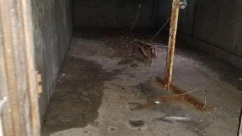 Tucked away - 20200509_123655.jpg