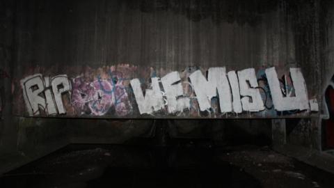 In through the out door - IMG_3425.jpg