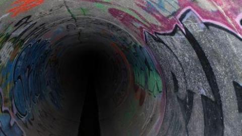 In through the out door - IMG_3439.jpg