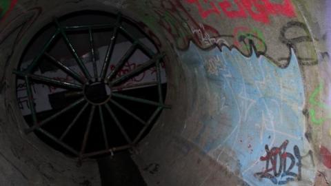 In through the out door - IMG_3442.jpg