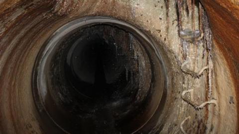 In through the out door - IMG_3463.jpg