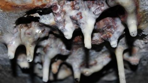 In through the out door - IMG_3481.jpg