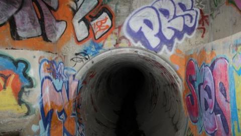 In through the out door - IMG_3526.jpg