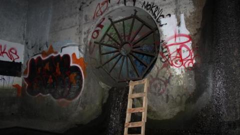 In through the out door - IMG_3544.jpg