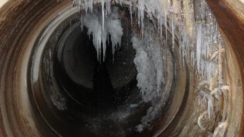 In through the out door - IMG_3545.jpg