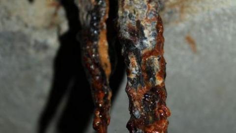 In through the out door - IMG_3566.jpg