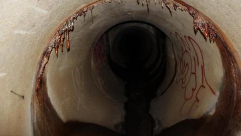 In through the out door - IMG_3567.jpg