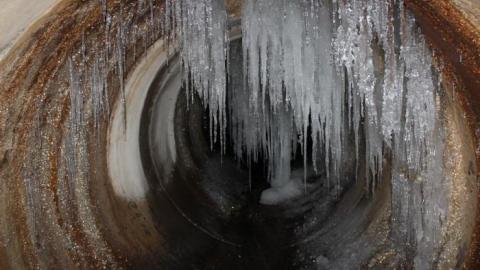 In through the out door - IMG_3593.jpg