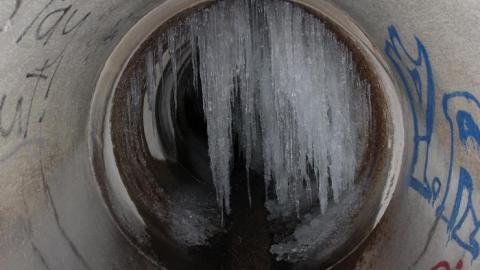 In through the out door - IMG_3595.jpg