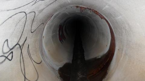 In through the out door - IMG_3597.jpg