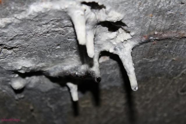 Otterbien Drain photo 4