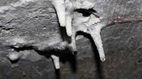 Otterbien Drain photo 4