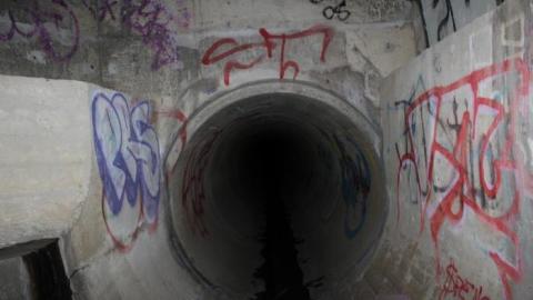 In through the out door - IMG_3612.jpg