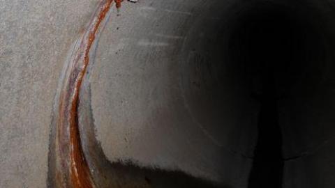 In through the out door - IMG_3636.jpg