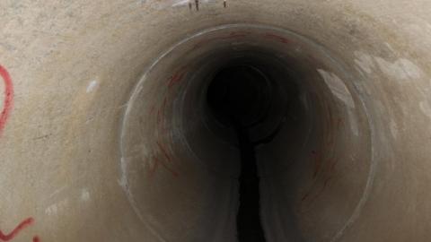 In through the out door - IMG_3657.jpg