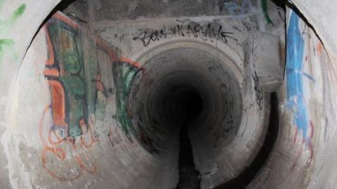 In through the out door - IMG_3662.jpg