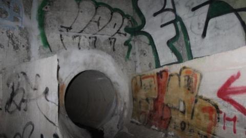 In through the out door - IMG_3664.jpg