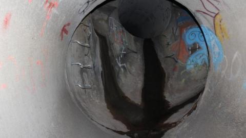 In through the out door - IMG_3673.jpg