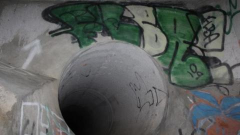 In through the out door - IMG_3676.jpg