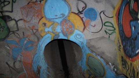 In through the out door - IMG_3678.jpg