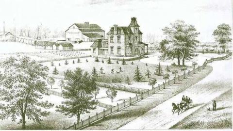 Evergreen - Evergreen3.jpg