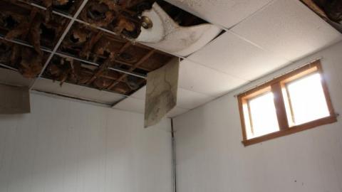 Death Inside - IMG_9357.jpg