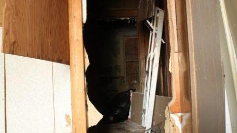 Death Inside - IMG_9361.jpg