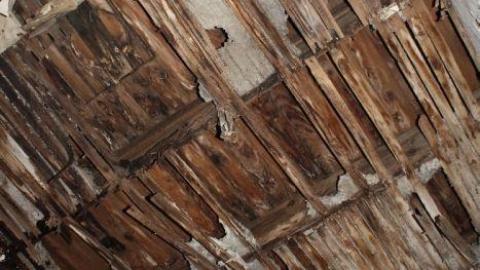 Death Inside - IMG_9378.jpg